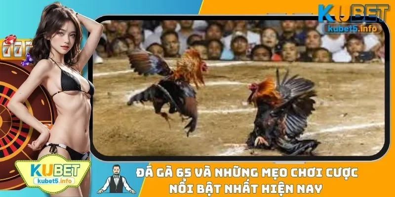 Đá Gà 65 Và Những Mẹo Chơi Cược Nổi Bật Nhất Hiện Nay