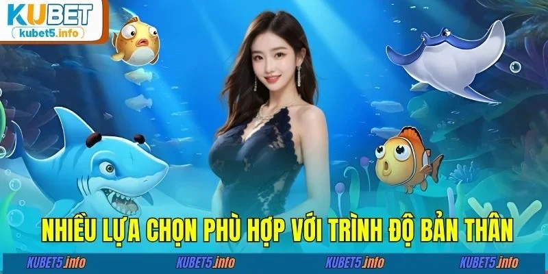 Nhiều lựa chọn phù hợp với trình độ bản thân