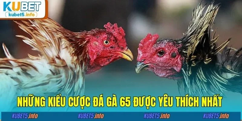 Những kiểu cược đá gà 65 được yêu thích nhất 